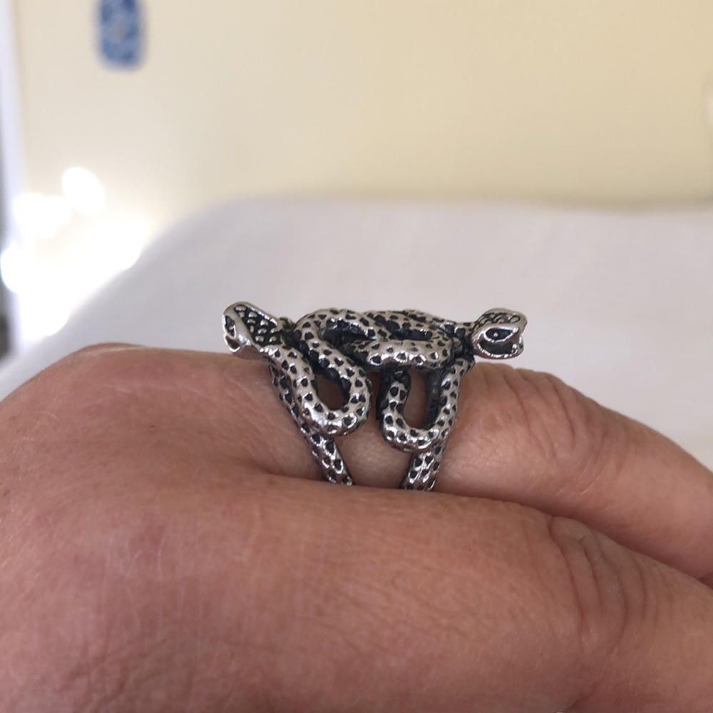 Intertwined Snake Ring 🐍🐍 - Picture 2 of 4